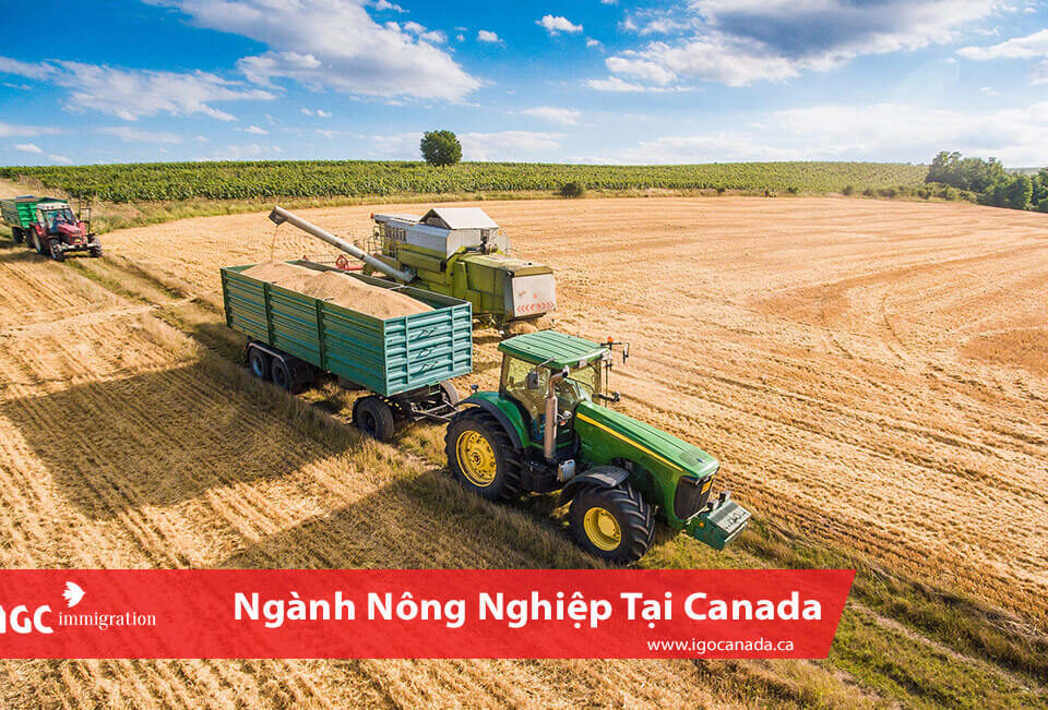 ngành nông nghiệp ở Canada với máy móc kỹ thuật hiện đại