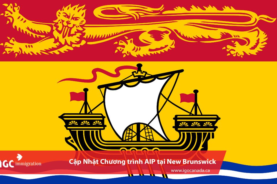 chương trình AIP tại New Brunswick